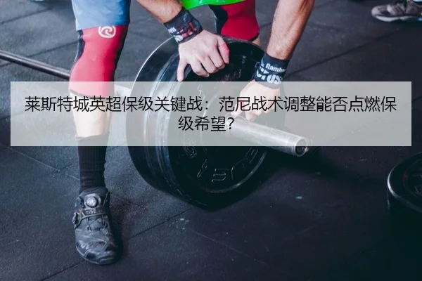 莱斯特城英超保级关键战：范尼战术调整能否点燃保级希望？